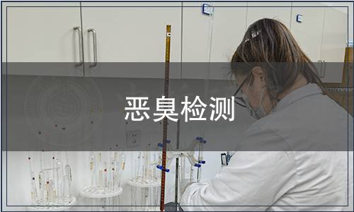 恶臭检测