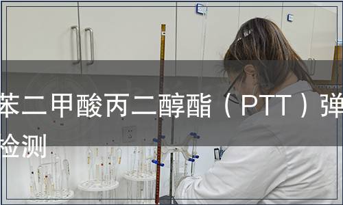 聚对苯二甲酸丙二醇酯（PTT）弹力丝检测