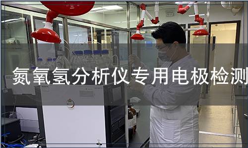 氮氧氢分析仪专用电极检测