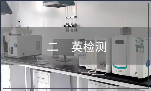 二噁英检测